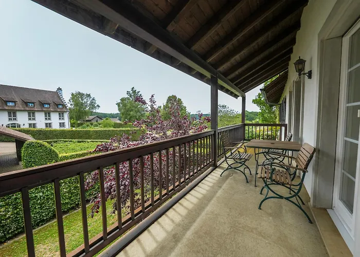 Hofgut Albfuehren 호텔 4*