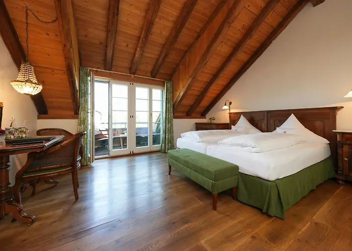 Hofgut Albfuehren 호텔 4*